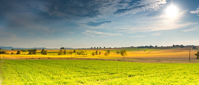 slunce nad loukou